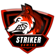 StrikerZ